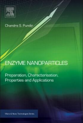 Pundir |  Enzyme Nanoparticles | Buch |  Sack Fachmedien