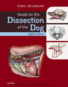 Evans |  Guide to the Dissection of the Dog - E-Book | eBook | Sack Fachmedien