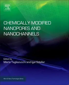 Tagliazucchi / Szleifer |  Chemically Modified Nanopores and Nanochannels | Buch |  Sack Fachmedien