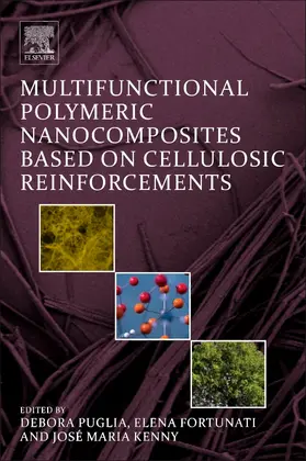 Puglia / Fortunati / Kenny |  Multifunctional Polymeric Nanocomposites Based on Cellulosic Reinforcements | Buch |  Sack Fachmedien