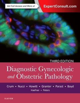 Crum / Lee / Peters III |  Diagnostic Gynecologic and Obstetric Pathology | Buch |  Sack Fachmedien