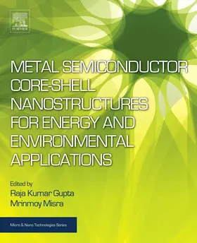 Gupta / Misra |  Metal Semiconductor Core-Shell Nanostructures for Energy and Environmental Applications | Buch |  Sack Fachmedien