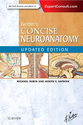 Rubin / Safdieh |  Netter's Concise Neuroanatomy Updated Edition | Buch |  Sack Fachmedien