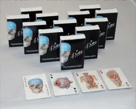 Netter |  Netter Playing Cards | Sonstiges |  Sack Fachmedien