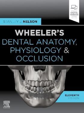 Nelson |  Wheeler's Dental Anatomy, Physiology and Occlusion | Buch |  Sack Fachmedien