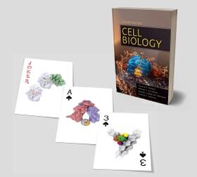 Pollard / Earnshaw / Johnson |  Cell Biology Playing Cards | Sonstiges |  Sack Fachmedien