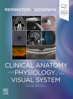 Goodwin / Remington |  Clinical Anatomy and Physiology of the Visual System | Buch |  Sack Fachmedien
