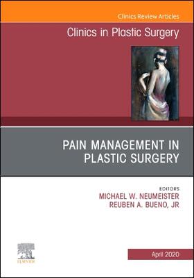 Bueno Jr / Neumeister |  Pain Management in Plastic Surgery an Issue of Clinics in Plastic Surgery | Buch |  Sack Fachmedien