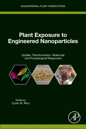 Rico |  Plant Exposure to Engineered Nanoparticles | Buch |  Sack Fachmedien