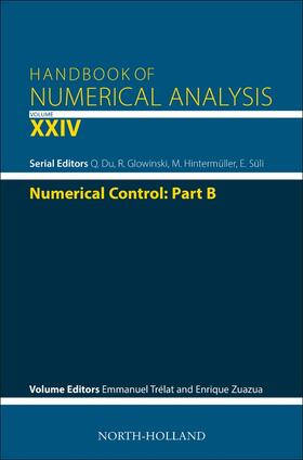 Trélat / Zuazua |  Numerical Control: Part B | Buch |  Sack Fachmedien