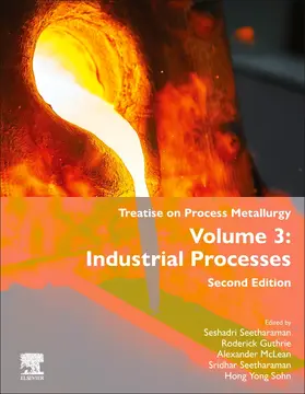 Guthrie / McLean / Seetharaman |  Treatise on Process Metallurgy | Buch |  Sack Fachmedien