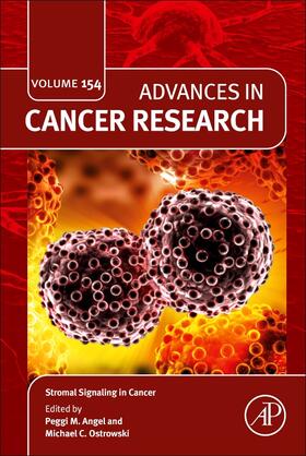 Stromal Signaling in Cancer | Buch | 978-0-323-85423-8 | sack.de