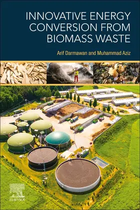 Darmawan / Aziz |  Innovative Energy Conversion from Biomass Waste | Buch |  Sack Fachmedien