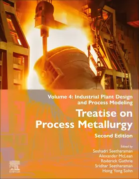 McLean / Guthrie / Seetharaman |  Treatise on Process Metallurgy | Buch |  Sack Fachmedien