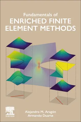 Aragón / Duarte |  Fundamentals of Enriched Finite Element Methods | Buch |  Sack Fachmedien