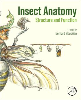 Moussian |  Insect Anatomy | Buch |  Sack Fachmedien