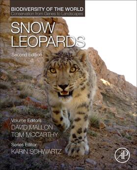  Snow Leopards | Buch |  Sack Fachmedien