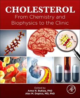 Bukiya / Dopico |  Cholesterol | Buch |  Sack Fachmedien