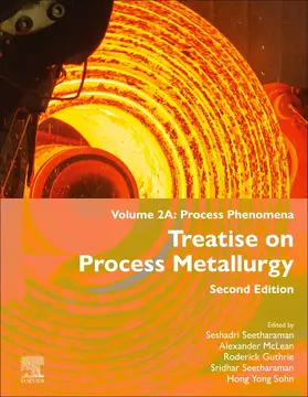 McLean / Guthrie / Seetharaman |  Treatise on Process Metallurgy | Buch |  Sack Fachmedien