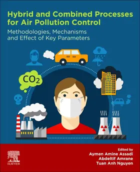 Assadi / Amrane / Nguyen |  Hybrid and Combined Processes for Air Pollution Control | Buch |  Sack Fachmedien