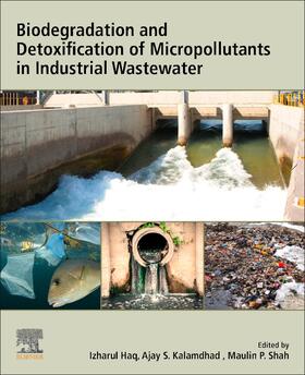 Haq / Kalamdhad / Shah |  Biodegradation and Detoxification of Micropollutants in Industrial Wastewater | Buch |  Sack Fachmedien