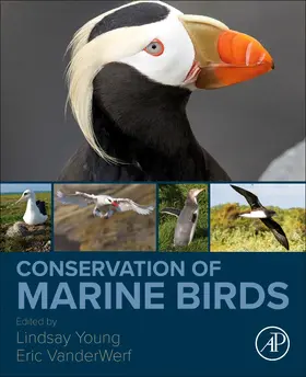 VanderWerf |  Conservation of Marine Birds | Buch |  Sack Fachmedien