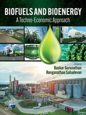 Gurunathan / Sahadevan |  Biofuels and Bioenergy | eBook | Sack Fachmedien