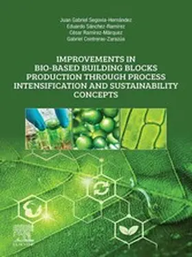 Segovia-Hernandez / Sanchez-Ramirez / Ramírez-Márquez |  Improvements in Bio-Based Building Blocks Production Through Process Intensification and Sustainability Concepts | eBook | Sack Fachmedien