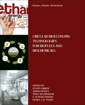 Varjani / Pandey / Bhaskar |  Biomass, Biofuels, Biochemicals | Buch |  Sack Fachmedien