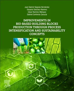 Segovia-Hernandez / Sanchez-Ramirez / Ramírez-Márquez |  Improvements in Bio-Based Building Blocks Production Through Process Intensification and Sustainability Concepts | Buch |  Sack Fachmedien