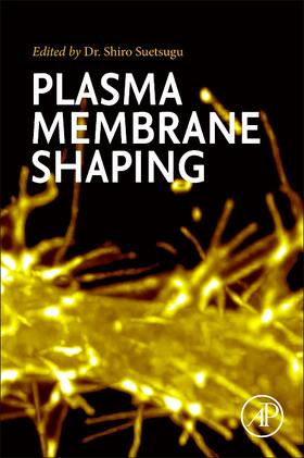 Suetsugu |  Plasma Membrane Shaping | Buch |  Sack Fachmedien
