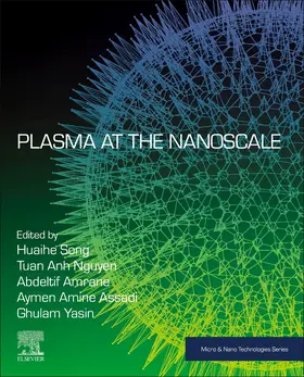 Song / Nguyen / Amrane |  Plasma at the Nanoscale | Buch |  Sack Fachmedien