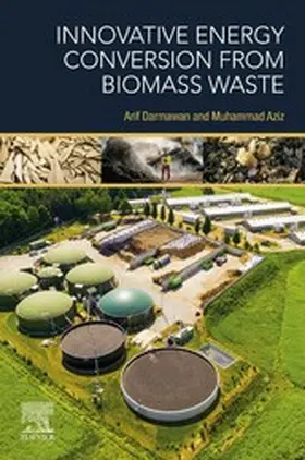 Darmawan / Aziz |  Innovative Energy Conversion from Biomass Waste | eBook | Sack Fachmedien