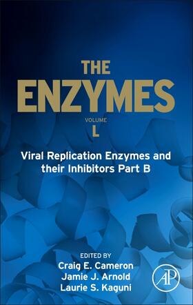  Viral Replication Enzymes and their Inhibitors Part B | Buch |  Sack Fachmedien