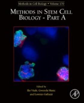 Galluzzi |  Methods in Stem Cell Biology - Part A | eBook | Sack Fachmedien