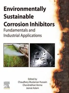 Verma / Aslam / Mustansar Hussain |  Environmentally Sustainable Corrosion Inhibitors | eBook | Sack Fachmedien