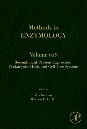  Recombinant Protein Expression: Prokaryotic hosts and cell-free systems | Buch |  Sack Fachmedien