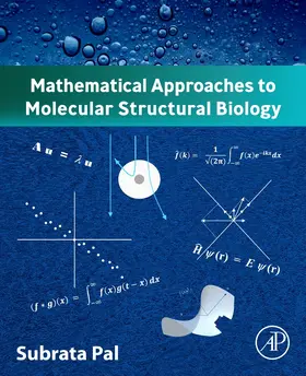 Pal |  Mathematical Approaches to Molecular Structural Biology | Buch |  Sack Fachmedien