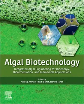 Ahmad / Banat / AlBlooshi |  Algal Biotechnology | Buch |  Sack Fachmedien