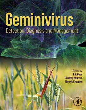Gaur / Sharma / Czosnek |  Geminivirus: Detection, Diagnosis and Management | Buch |  Sack Fachmedien