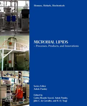 Soccol / Pandey / Carvalho |  Biomass, Biofuels, Biochemicals | Buch |  Sack Fachmedien