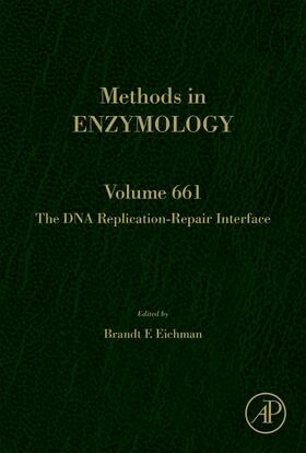  The DNA Replication-Repair Interface | Buch |  Sack Fachmedien