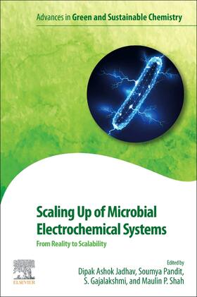 Jadhav / Pandit / Gajalakshmi |  Scaling Up of Microbial Electrochemical Systems | Buch |  Sack Fachmedien