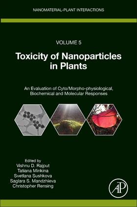 Rajput / Rensing / Minkina |  Toxicity of Nanoparticles in Plants: An Evaluation of Cyto/Morpho-Physiological, Biochemical and Molecular Responsesvolume 5 | Buch |  Sack Fachmedien