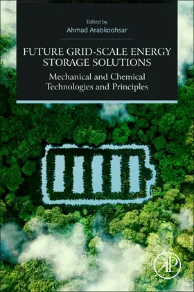 Arabkoohsar |  Future Grid-Scale Energy Storage Solutions | Buch |  Sack Fachmedien