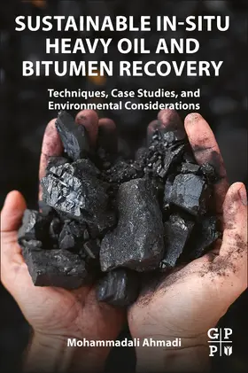 Ahmadi |  Sustainable In-Situ Heavy Oil and Bitumen Recovery | Buch |  Sack Fachmedien