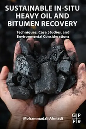 Ahmadi |  Sustainable In-Situ Heavy Oil and Bitumen Recovery | eBook | Sack Fachmedien