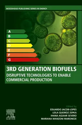 Jacob-Lopes / Queiroz Zepka / Severo |  3rd Generation Biofuels | Buch |  Sack Fachmedien