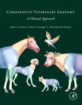 Orsini / Grenager / de Lahunta |  Comparative Veterinary Anatomy | Buch |  Sack Fachmedien