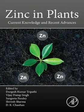 Tripathi D. Phil. / Singh / Pandey |  Zinc in Plants | eBook | Sack Fachmedien